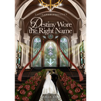 Image of Destiny wore the right name