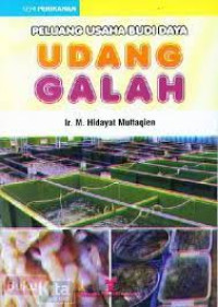 Image of Peluang Usaha Budi Daya  Udang Galah